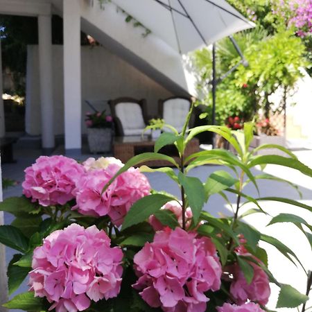 Apartments Poretti For 2,In Center Parking Free In The Yard,6 Min Beach Walk Rovinj Exteriér fotografie