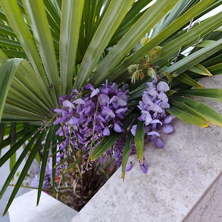 Apartments Poretti For 2,In Center Parking Free In The Yard,6 Min Beach Walk Rovinj Exteriér fotografie