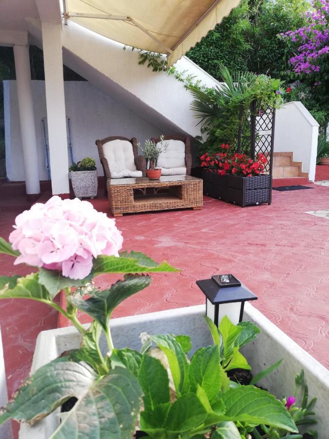 Apartments Poretti For 2,In Center Parking Free In The Yard,6 Min Beach Walk Rovinj Exteriér fotografie
