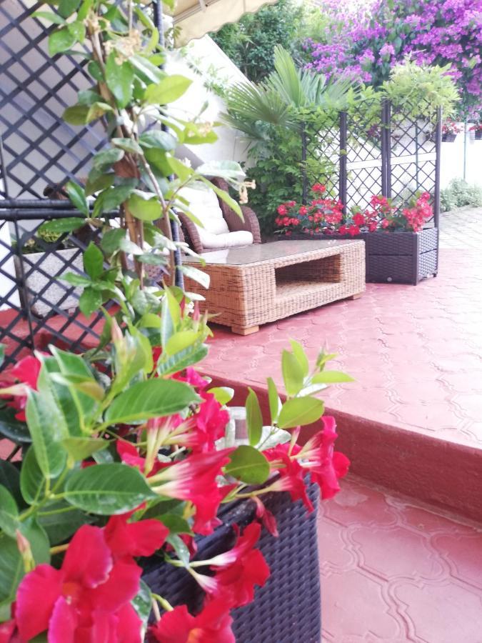Apartments Poretti For 2,In Center Parking Free In The Yard,6 Min Beach Walk Rovinj Exteriér fotografie