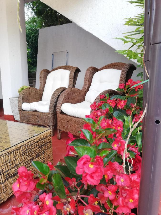 Apartments Poretti For 2,In Center Parking Free In The Yard,6 Min Beach Walk Rovinj Exteriér fotografie