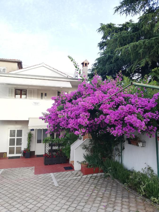 Apartments Poretti For 2,In Center Parking Free In The Yard,6 Min Beach Walk Rovinj Exteriér fotografie