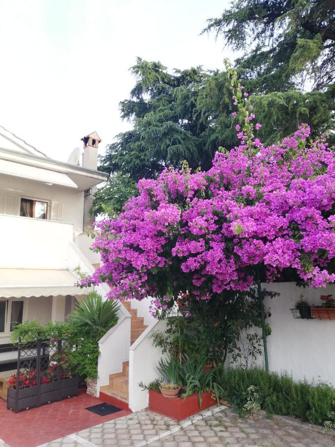 Apartments Poretti For 2,In Center Parking Free In The Yard,6 Min Beach Walk Rovinj Exteriér fotografie