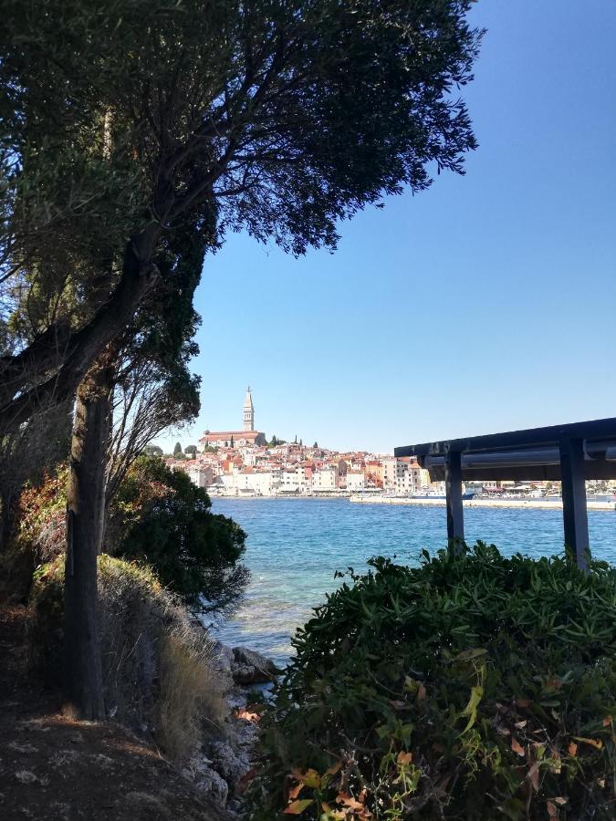 Apartments Poretti For 2,In Center Parking Free In The Yard,6 Min Beach Walk Rovinj Exteriér fotografie