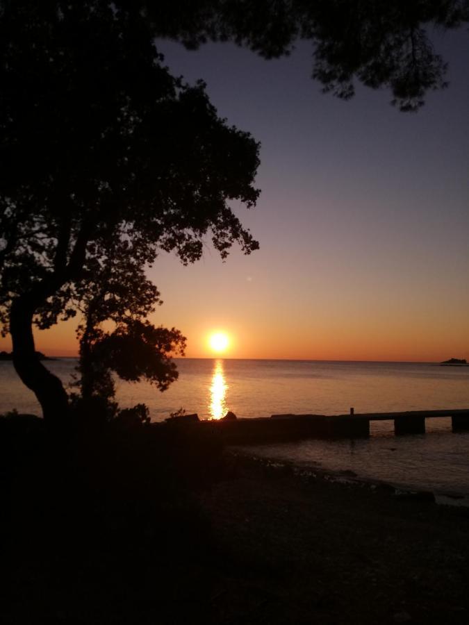 Apartments Poretti For 2,In Center Parking Free In The Yard,6 Min Beach Walk Rovinj Exteriér fotografie