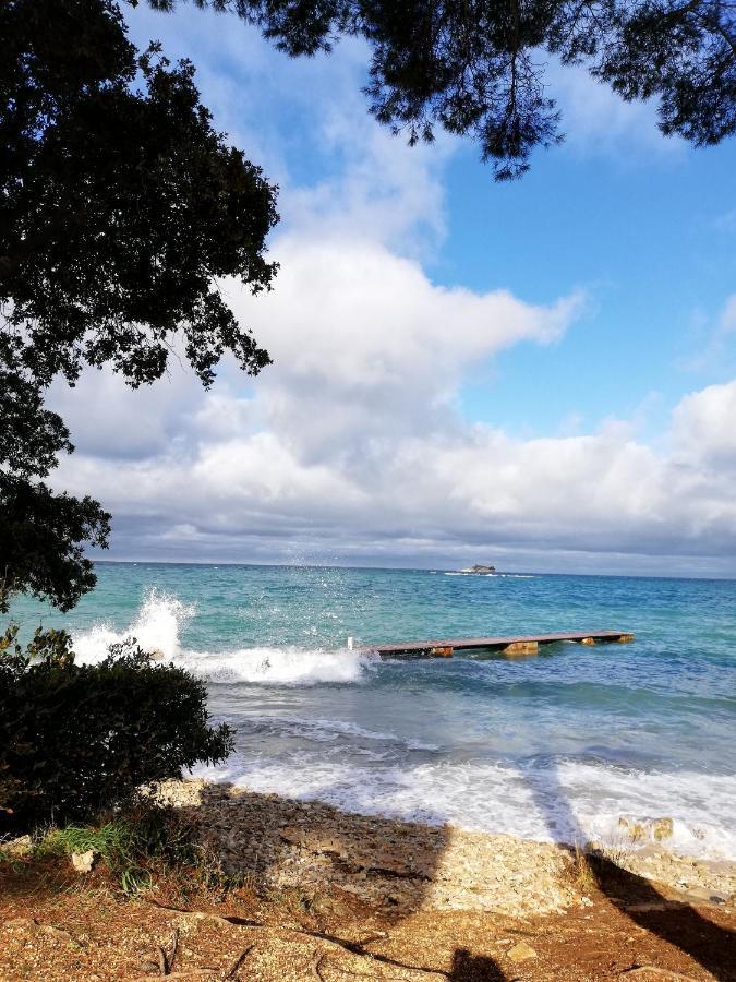 Apartments Poretti For 2,In Center Parking Free In The Yard,6 Min Beach Walk Rovinj Exteriér fotografie