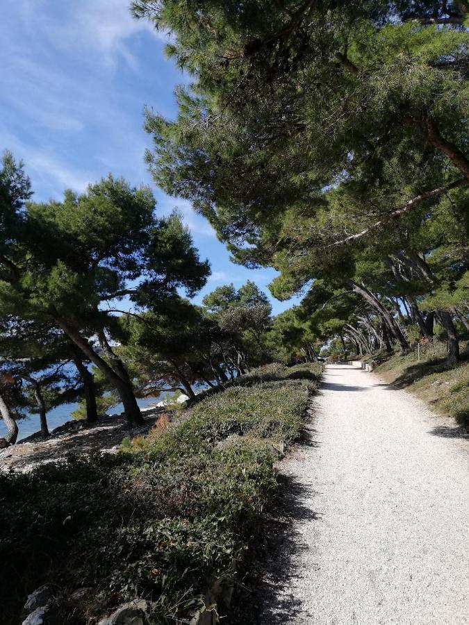 Apartments Poretti For 2,In Center Parking Free In The Yard,6 Min Beach Walk Rovinj Exteriér fotografie