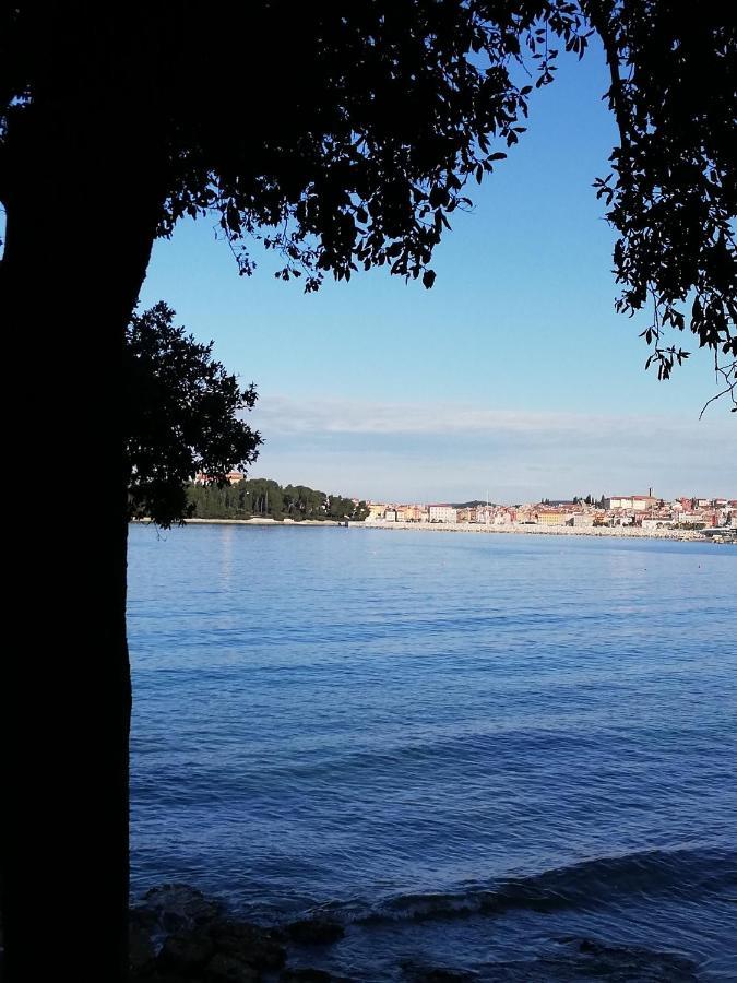 Apartments Poretti For 2,In Center Parking Free In The Yard,6 Min Beach Walk Rovinj Exteriér fotografie