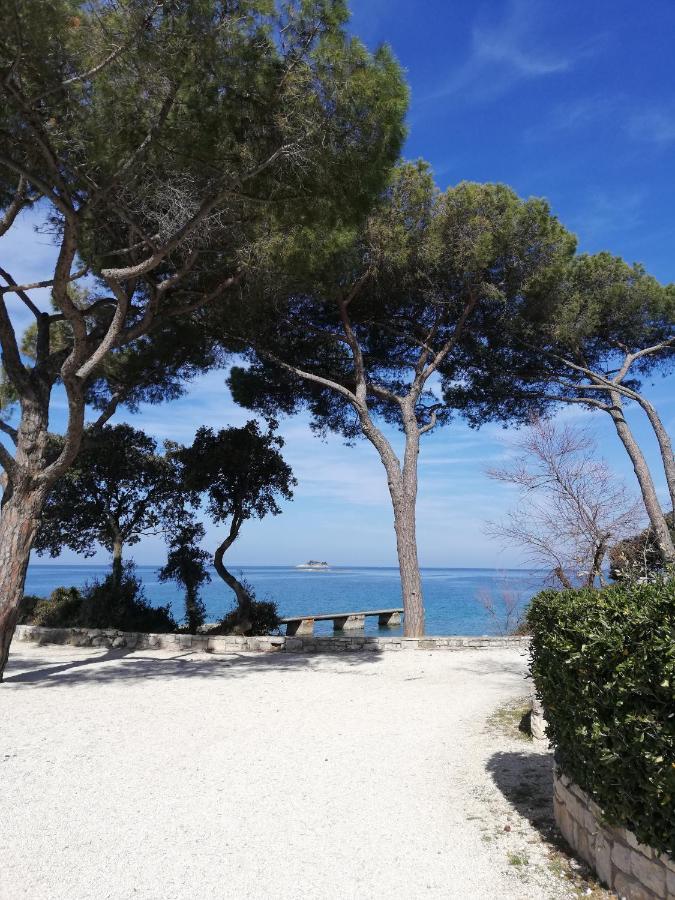Apartments Poretti For 2,In Center Parking Free In The Yard,6 Min Beach Walk Rovinj Exteriér fotografie