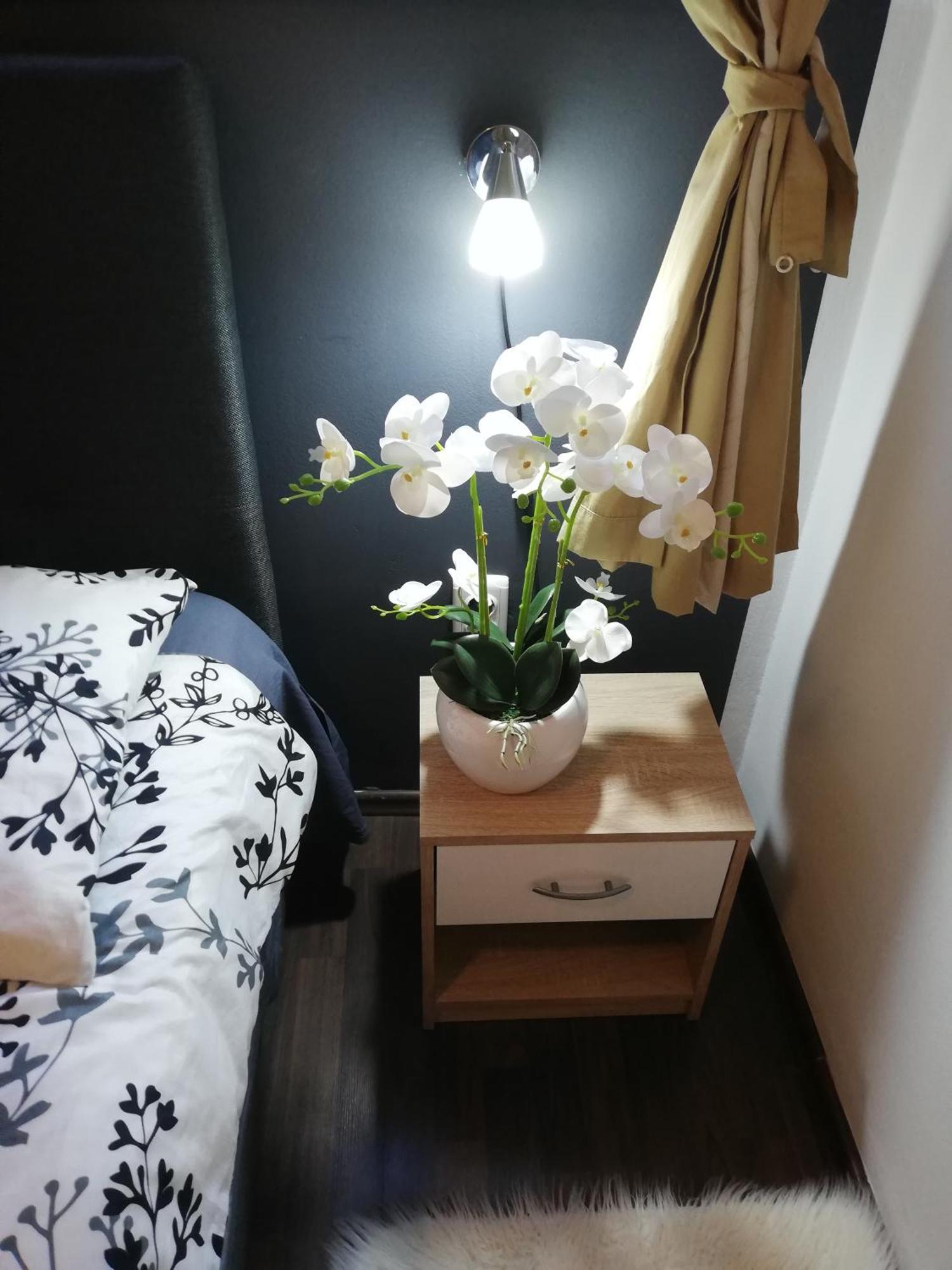 Apartments Poretti For 2,In Center Parking Free In The Yard,6 Min Beach Walk Rovinj Exteriér fotografie