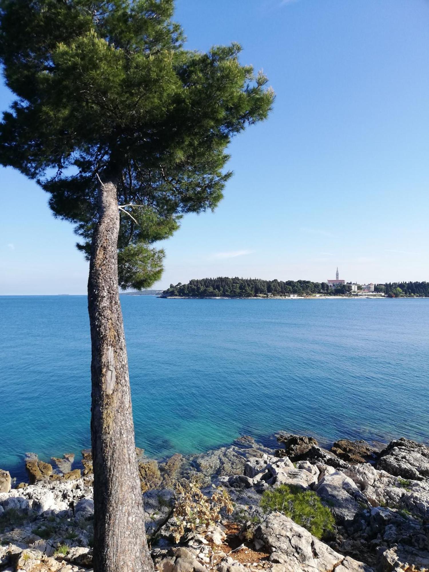 Apartments Poretti For 2,In Center Parking Free In The Yard,6 Min Beach Walk Rovinj Exteriér fotografie