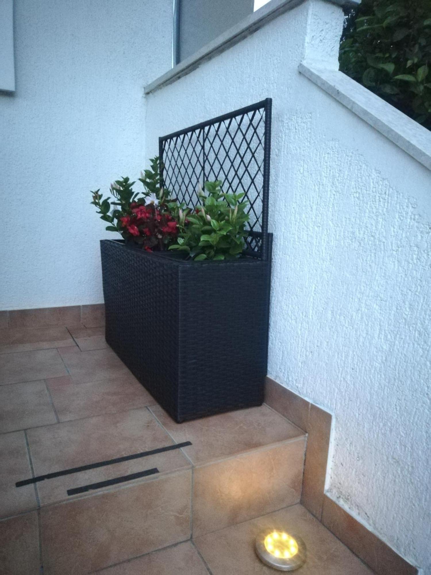 Apartments Poretti For 2,In Center Parking Free In The Yard,6 Min Beach Walk Rovinj Exteriér fotografie