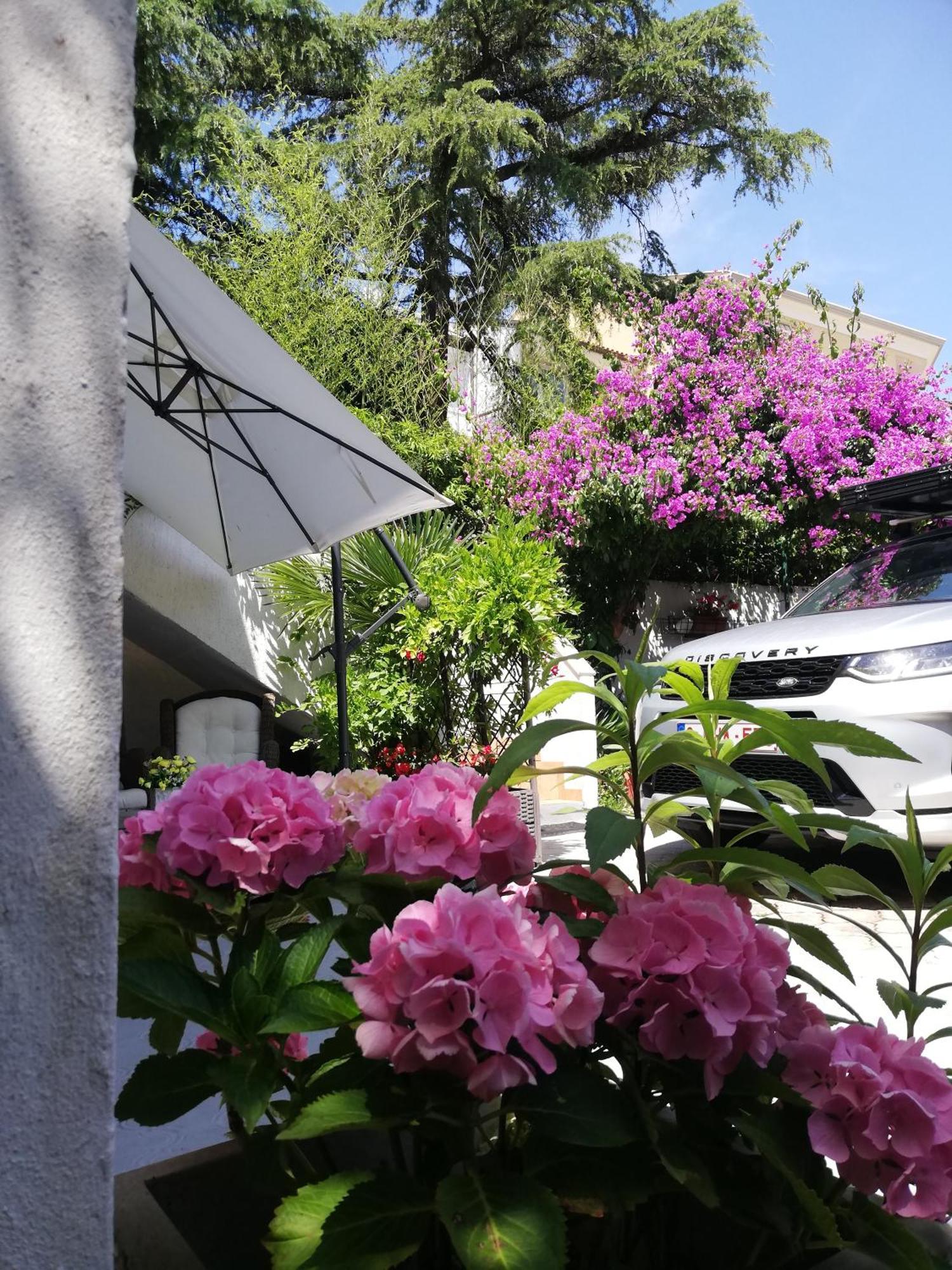 Apartments Poretti For 2,In Center Parking Free In The Yard,6 Min Beach Walk Rovinj Exteriér fotografie