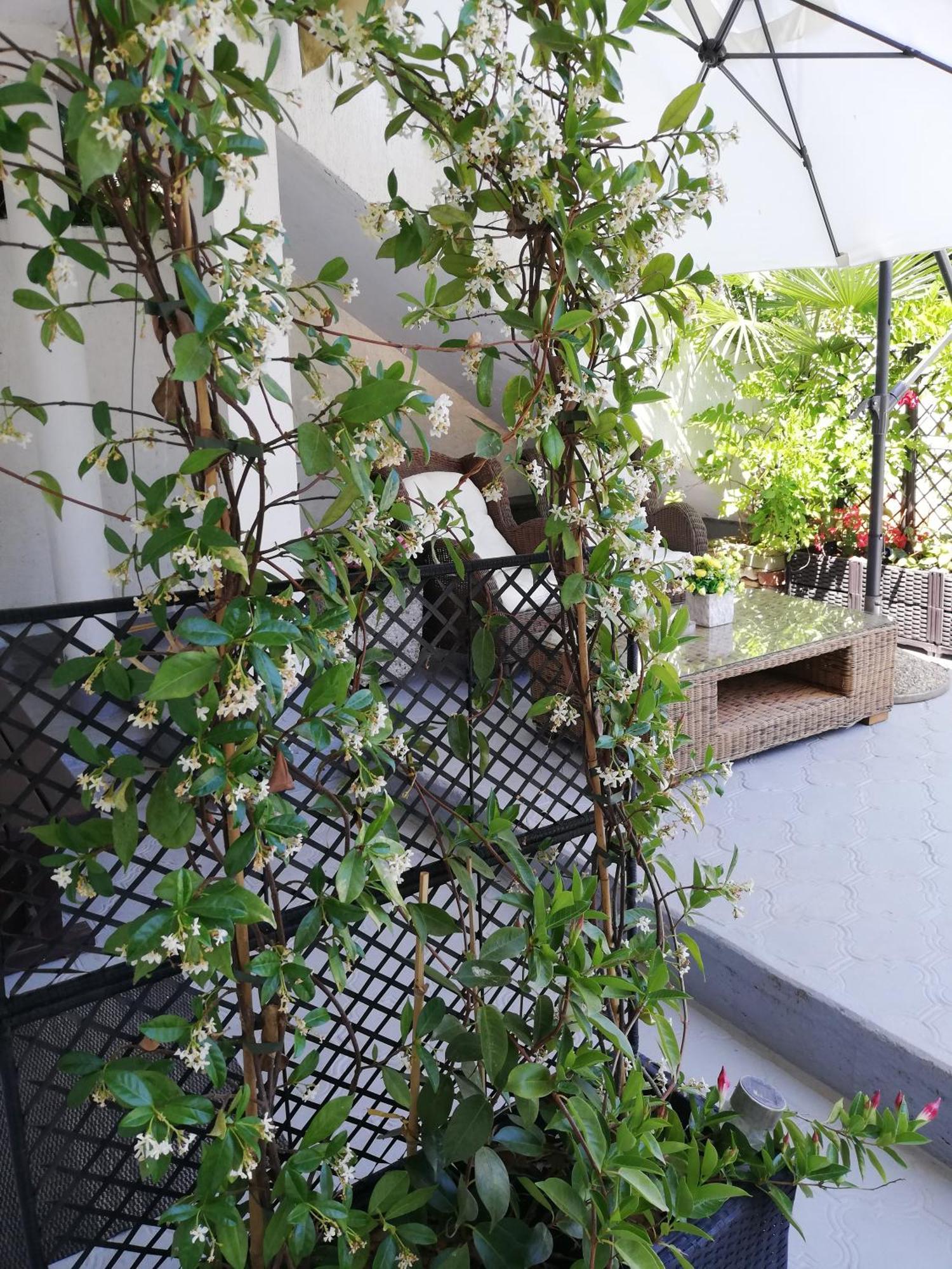 Apartments Poretti For 2,In Center Parking Free In The Yard,6 Min Beach Walk Rovinj Pokoj fotografie