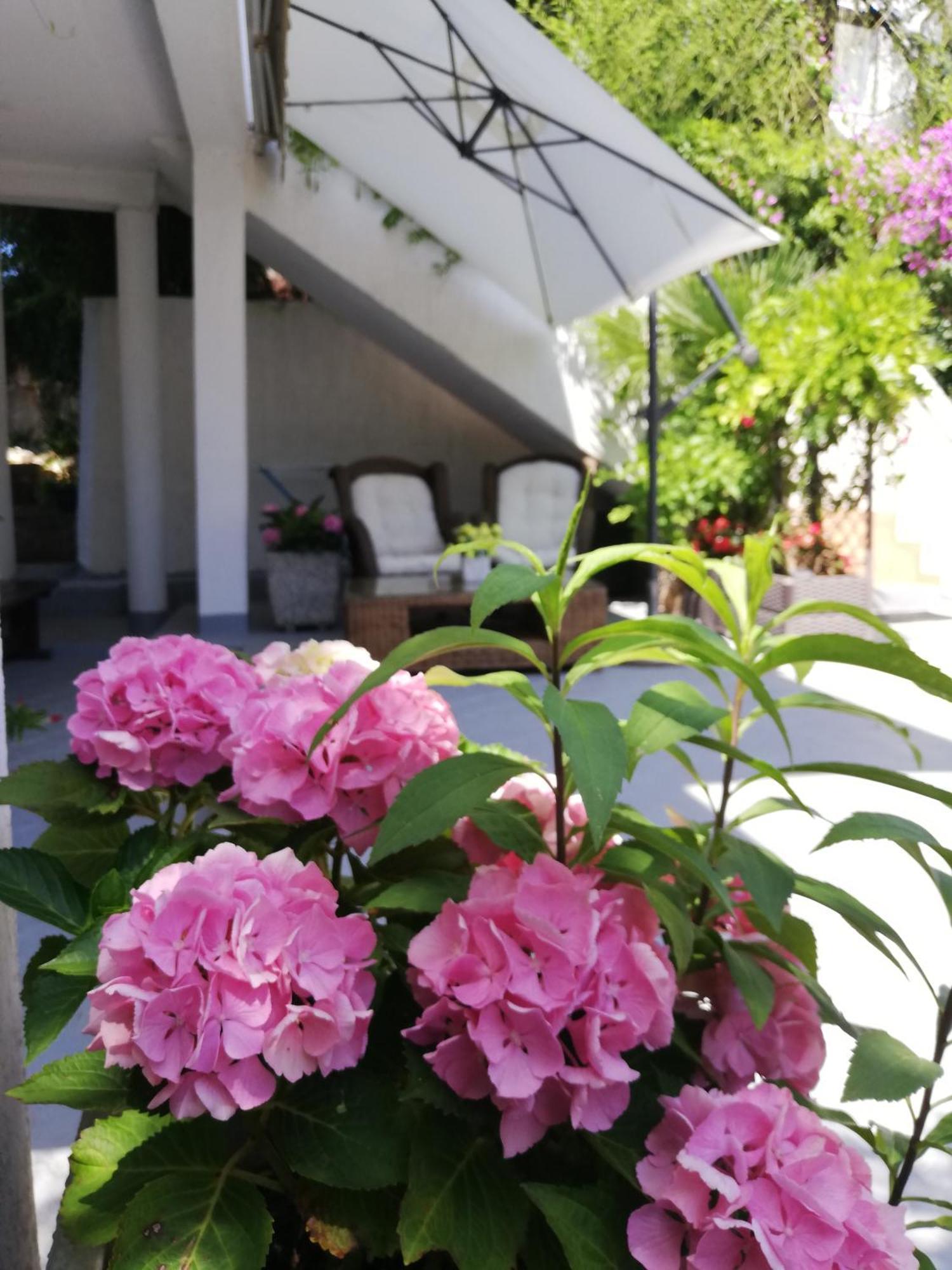 Apartments Poretti For 2,In Center Parking Free In The Yard,6 Min Beach Walk Rovinj Exteriér fotografie