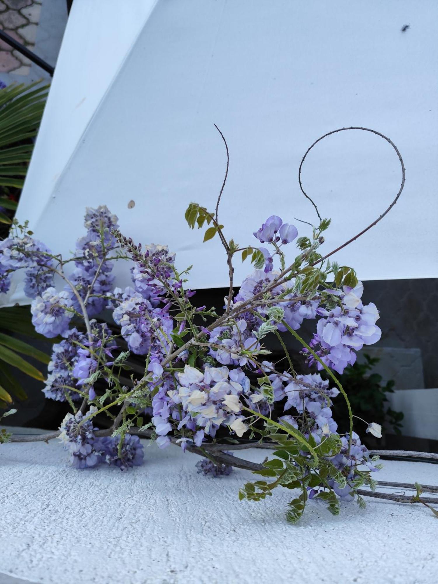 Apartments Poretti For 2,In Center Parking Free In The Yard,6 Min Beach Walk Rovinj Exteriér fotografie